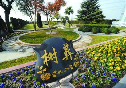 郑州墓地，郑州哪个陵园可以树葬？