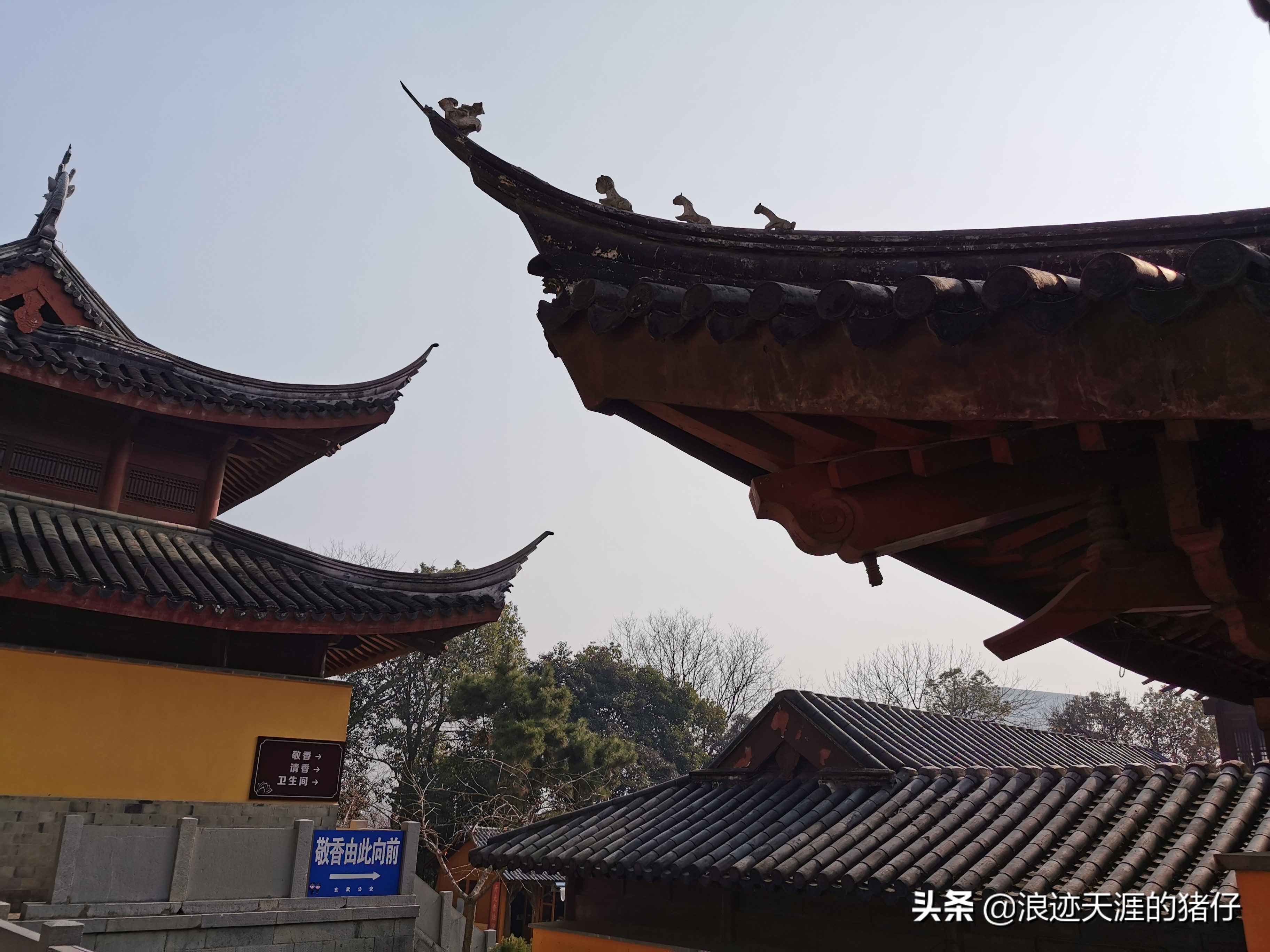 追寻电视剧大明风华里,朱棣最喜欢来的寺庙/南京古鸡鸣寺