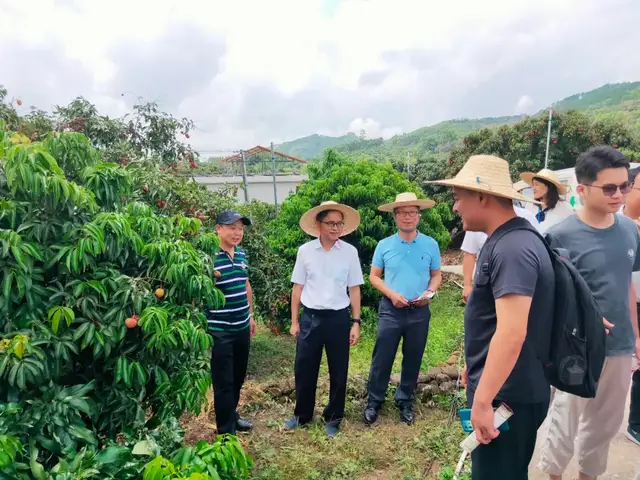 佛山钦州抖音代运营(2021年钦州荔枝产销投资洽谈会（钦州站）暨钦州荔枝网上行启动)  第5张