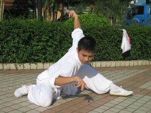 中国古拳法都有哪些(螳螂拳是中国古拳法吗)