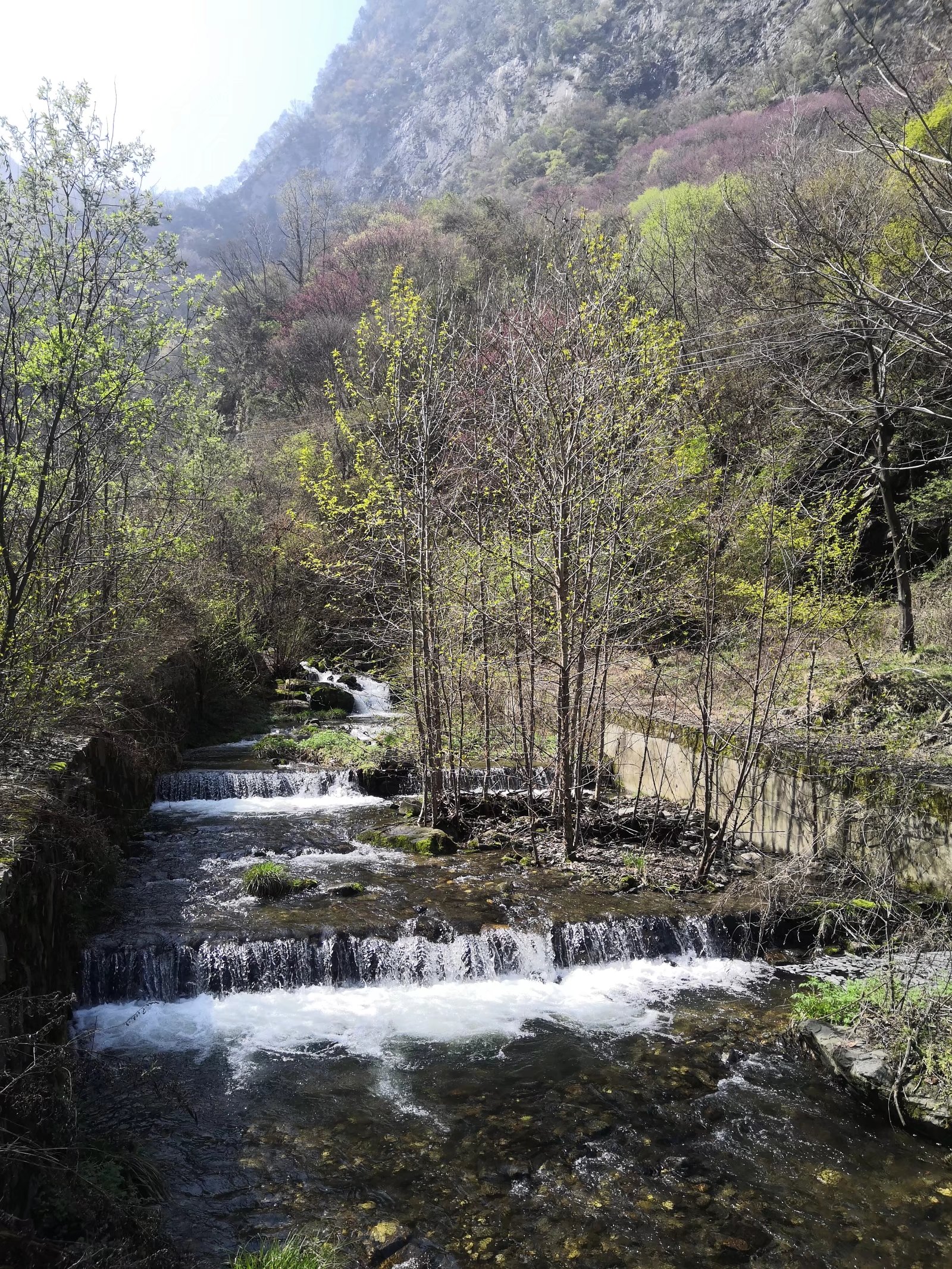 秦岭最美十个峪口,秦岭最美十个峪口免费的