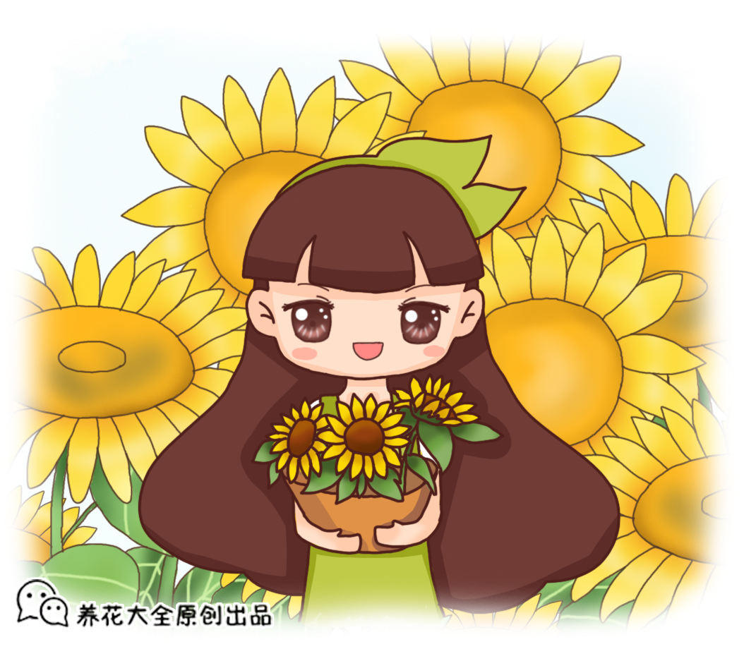 其实不是,向日葵喜欢朝着太阳开花,反而是因为向日葵里有害怕光的东西