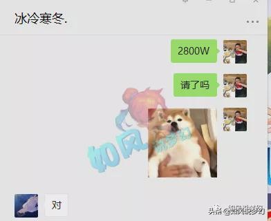 梦幻西游：珍宝阁用13技林中鸟狂豹打服战，浩文启用2魔王大招