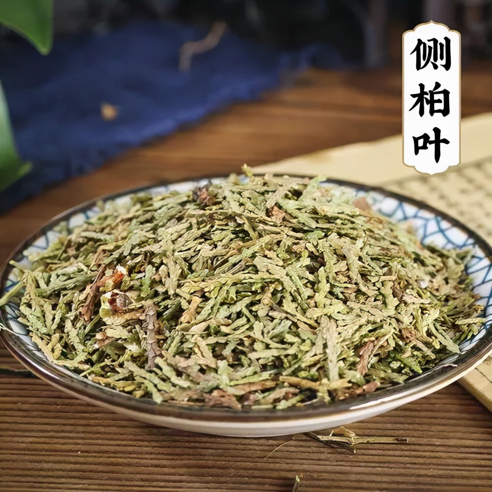 侧柏叶的功效禁忌及副作用详解