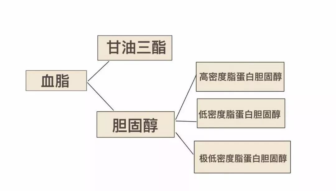 血脂高的症状怎么调理血脂高的人身体有哪些症状