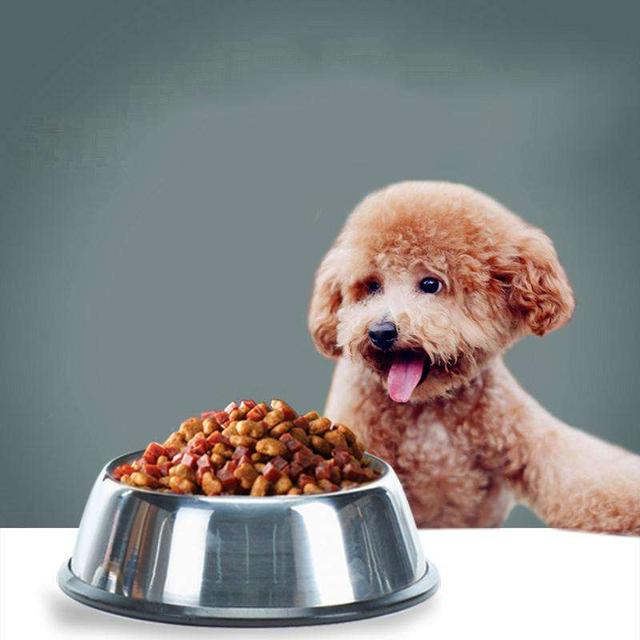 小鹿犬价格多少钱一只想养狗