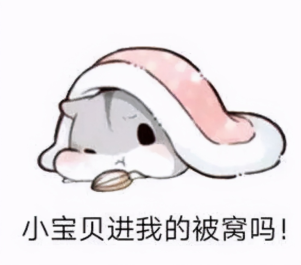 仓鼠表情包仓鼠表情包动图gif