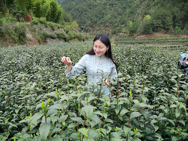 甘肃抖音账号平台代运营哪里有(为官一任当有初心：“玩转”抖音账号的副县长们)  第2张