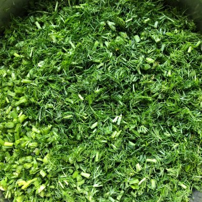 茴香肉馅怎么调好吃（三分钟做好口齿留香的茴香馅儿饺子）