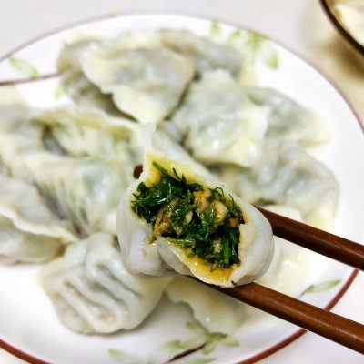 茴香肉馅怎么调好吃（三分钟做好口齿留香的茴香馅儿饺子）