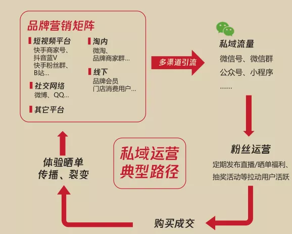 宠物品牌抖音代运营团队(宠物品牌如何做好短视频营销＆直播带货，这里有干货)  第1张