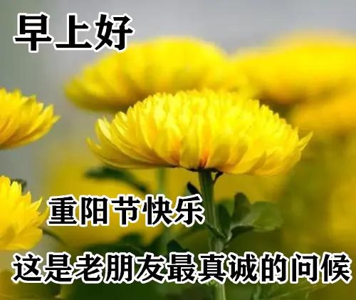 10月14日重阳节最漂亮早上好动态表情图片大全问候重阳节早上好