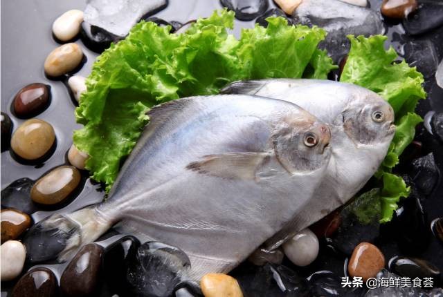 仓鱼好吃吗（关于仓鱼在广东的江湖地位竟这么高）