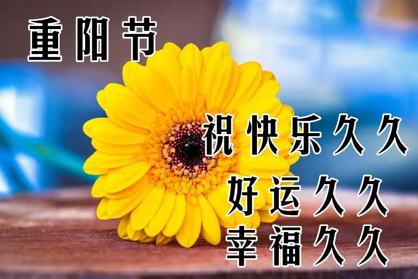 早安朋友原标题:10月14日重阳节最漂亮早上好动态表情图片大全,问候重