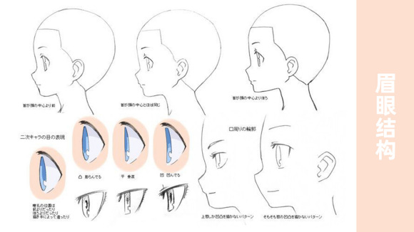 新手一画侧脸就翻车教你如何画出完美半侧脸