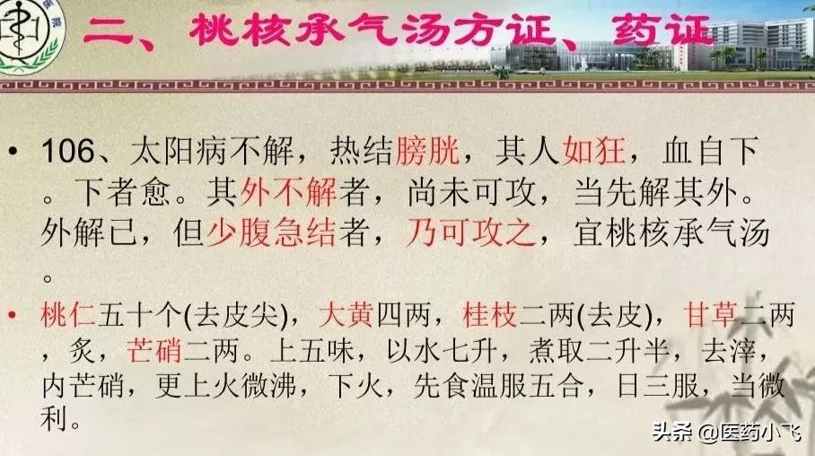 桃核承气汤桃核承气汤组成