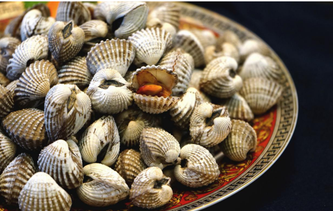 贝壳类海鲜图片及名称贝壳类海鲜图片及名称品种常见