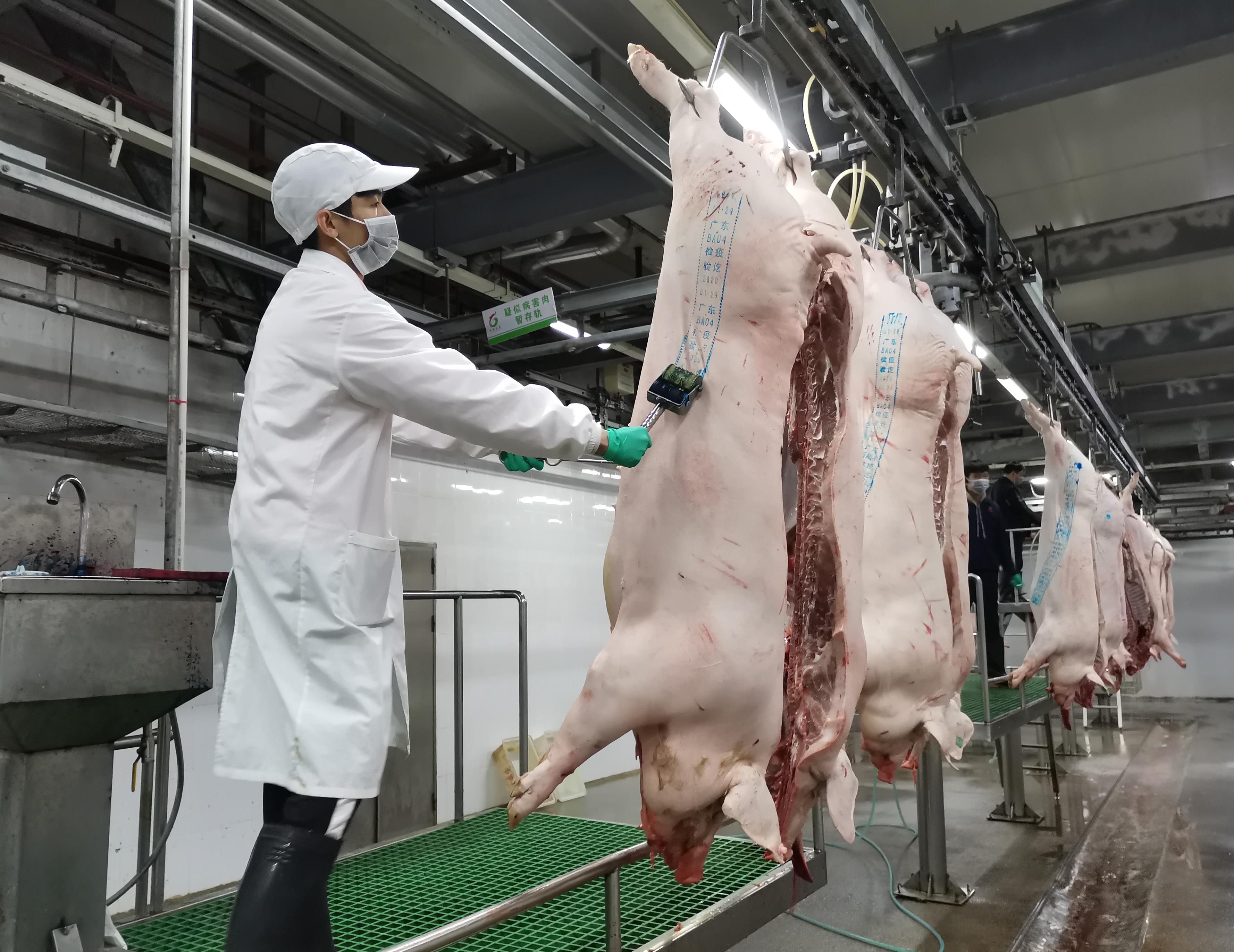 四川不能在自家杀年猪了自家养的猪为何也需要到屠宰场宰杀