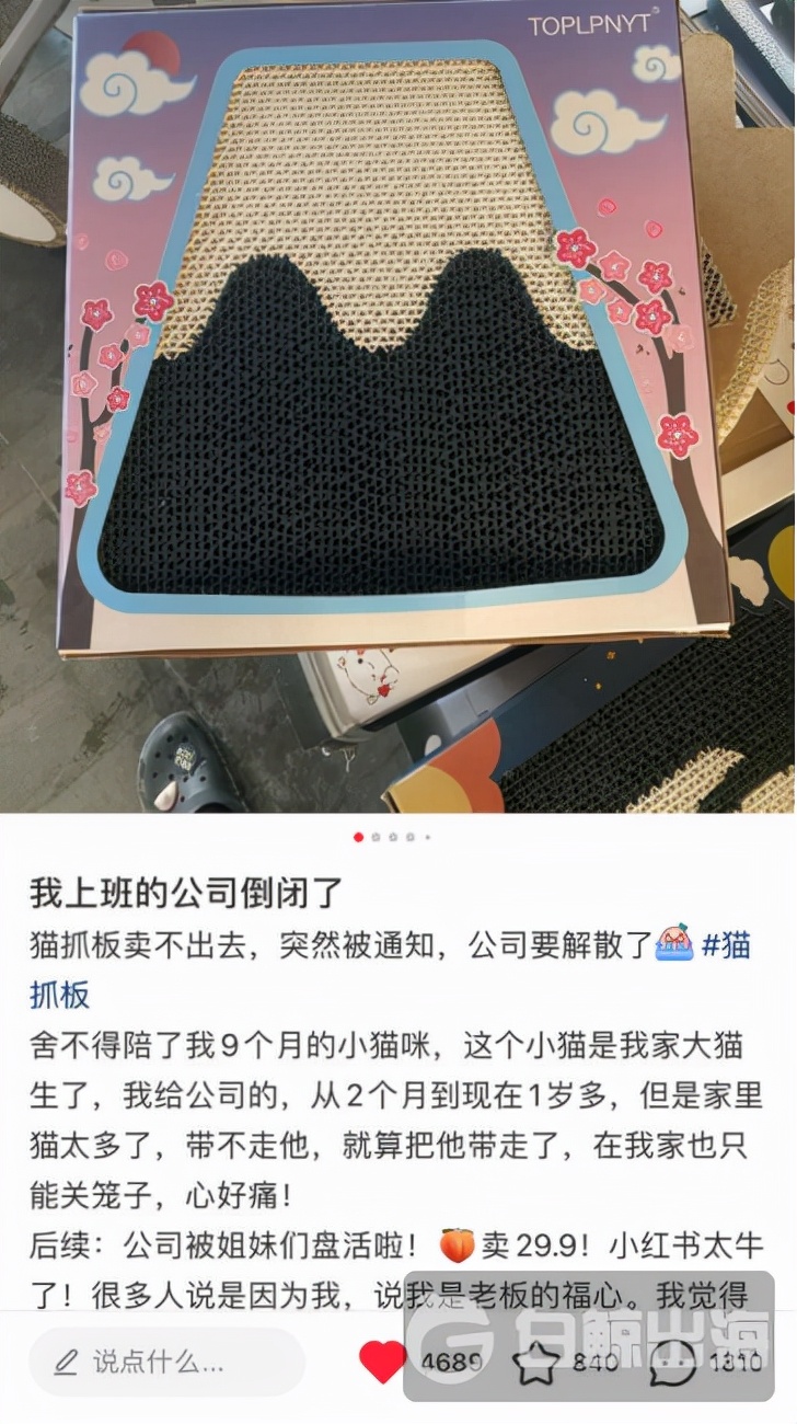 宠物品牌抖音代运营团队(一个濒临破产的宠物出海品牌，被小红书救活了)  第3张