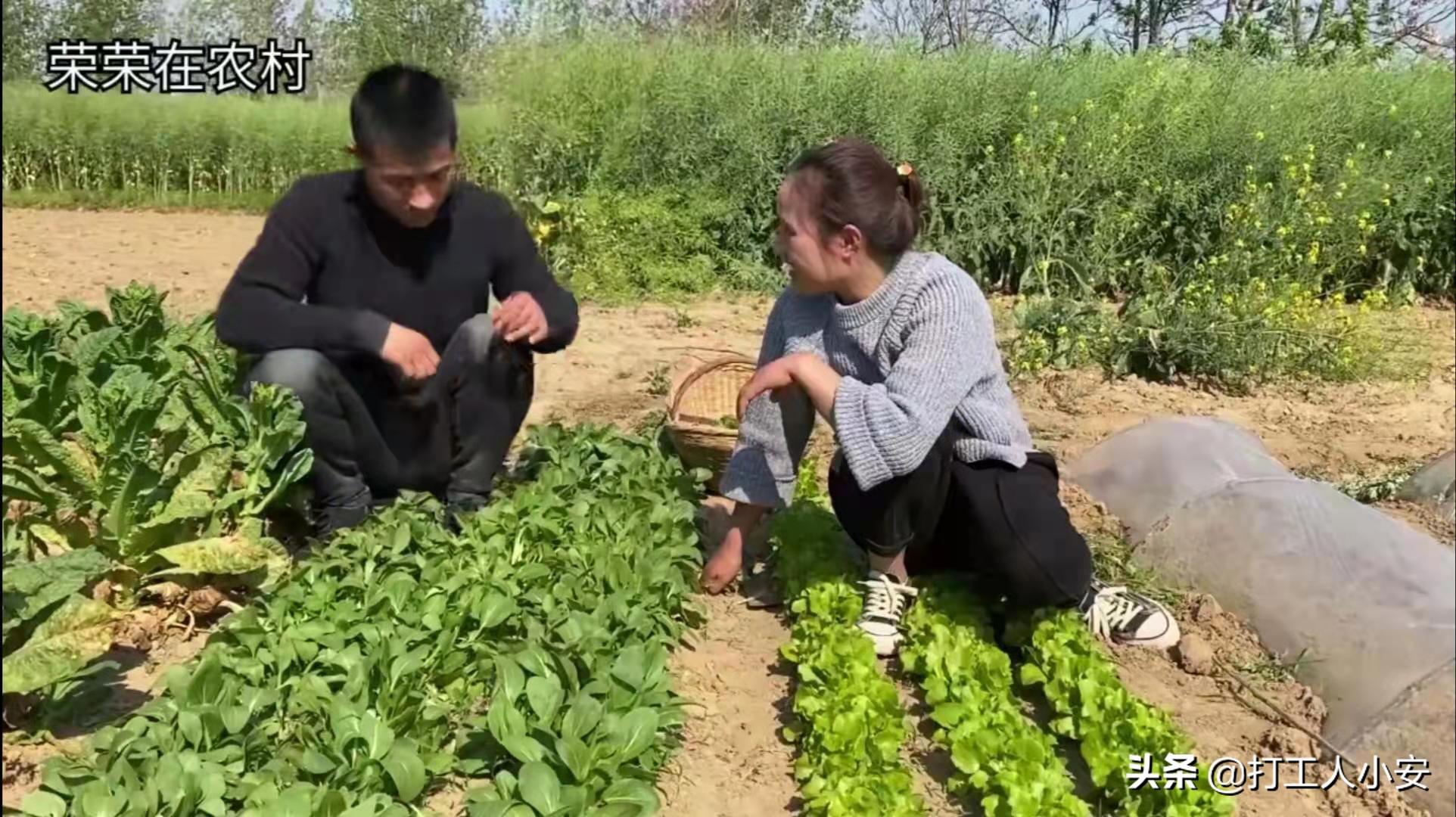 荣荣在农村是哪里人农民荣荣的个人资料