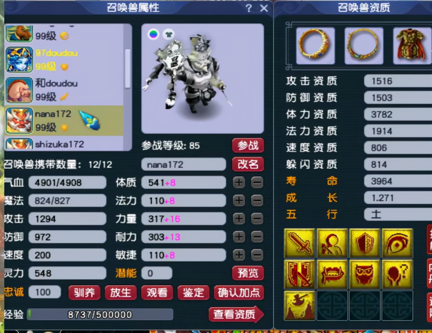 梦幻西游：89级个性宠收藏达人，全身携带个性宠，有你没见过的