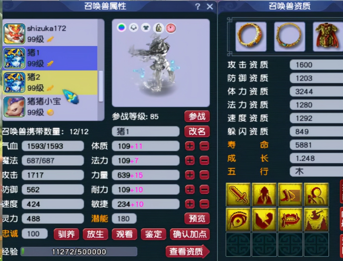 梦幻西游：89级个性宠收藏达人，全身携带个性宠，有你没见过的