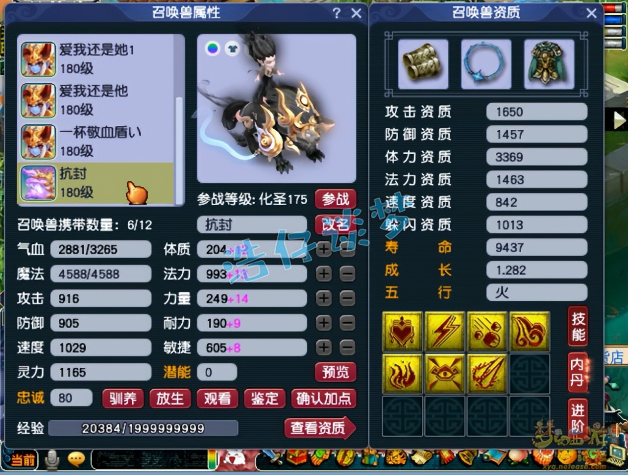 梦幻西游：15+9超强175咒师普陀，为了超龟速，宠等级都不升满