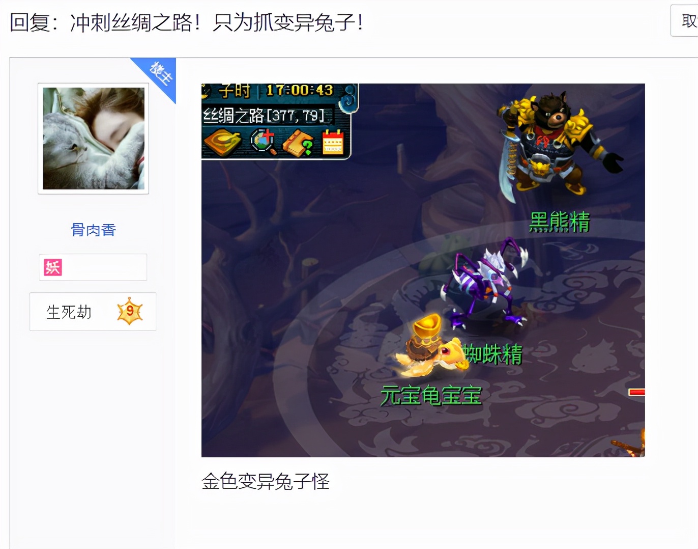 梦幻西游：梦幻最独特的烟花区！因太过于火爆，宠环根本没法跑