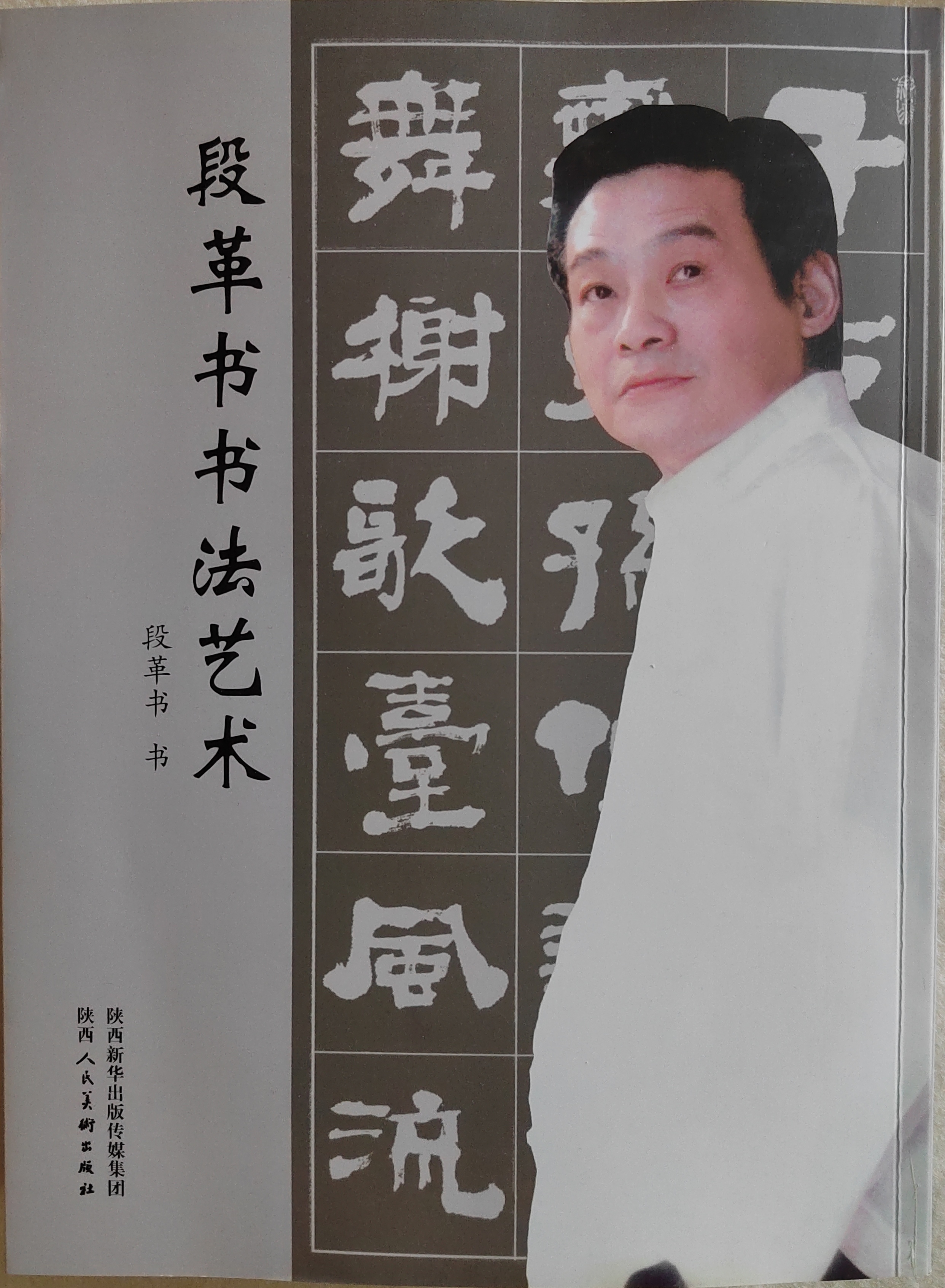 清华大学美术学院书法高研班特聘教授,华夏城乡文化书画研究院顾问