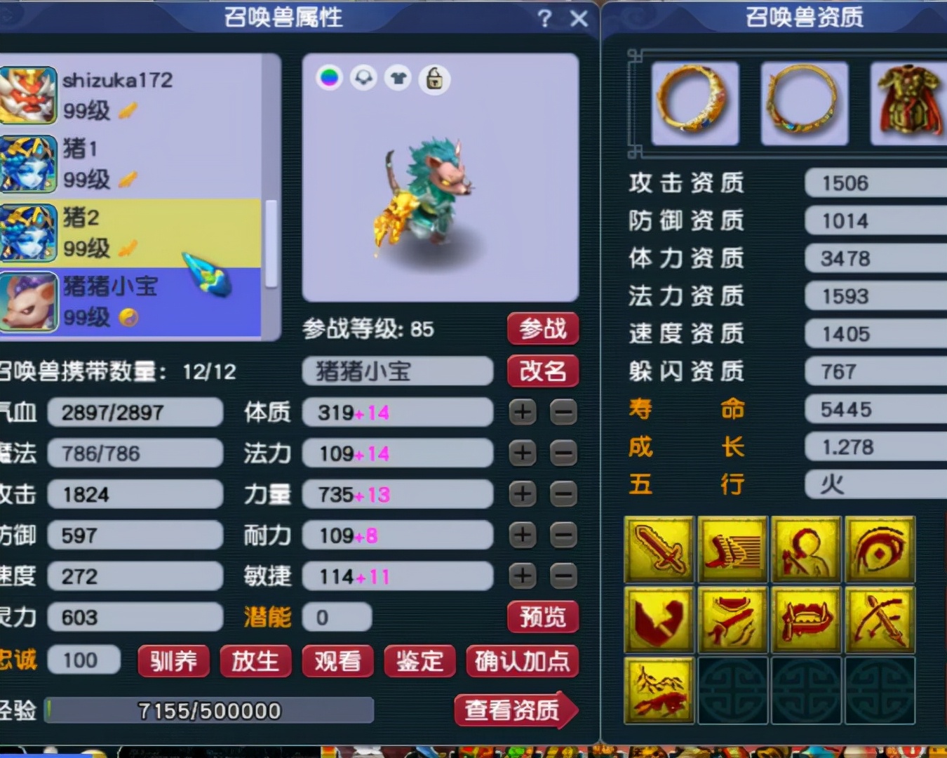 梦幻西游：89级个性宠收藏达人，全身携带个性宠，有你没见过的