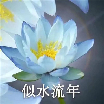 花开富贵头像花开富贵头像图片大全