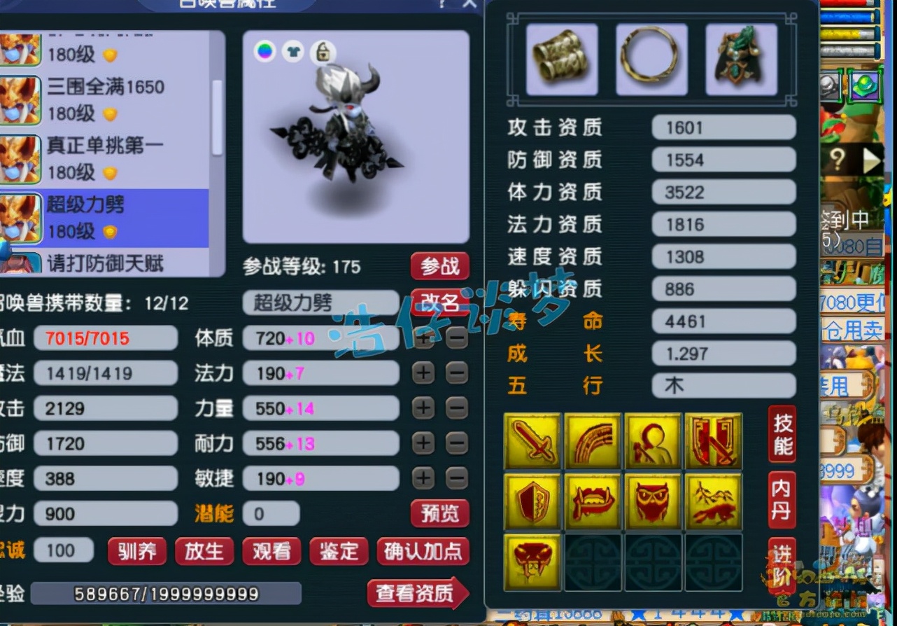 梦幻西游：175极品五庄，多套特技装备加身，单挑群殴全能选手