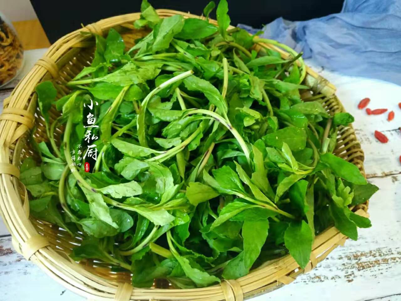 野菜图片大全及名字农村常见的二十五种野菜