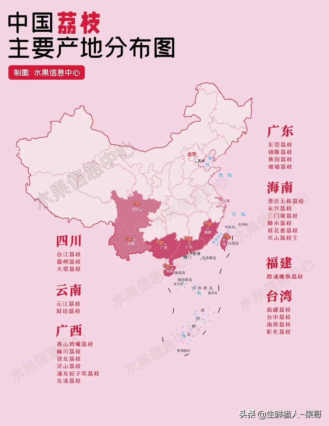 中国荔枝主要分布图广东荔枝品种主要以白糖罂,三月红,妃子笑,桂味