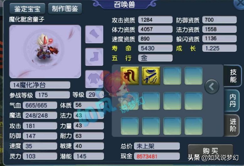 梦幻西游：商人在思过崖中摆摊卖宝宝，250万梦幻币买到高神佑