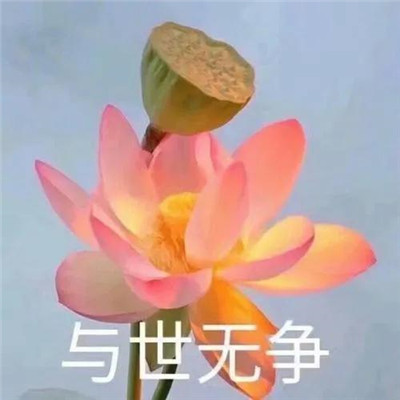 花开富贵头像花开富贵头像图片大全