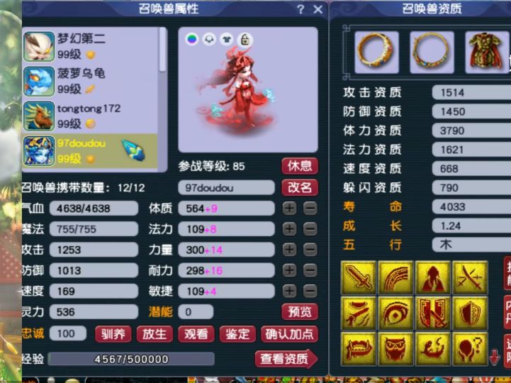 梦幻西游：89级个性宠收藏达人，全身携带个性宠，有你没见过的