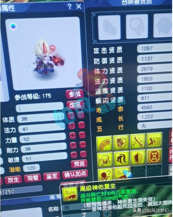 梦幻西游：雪无给9红净台宝宝打错兽决，当场赔了2万元