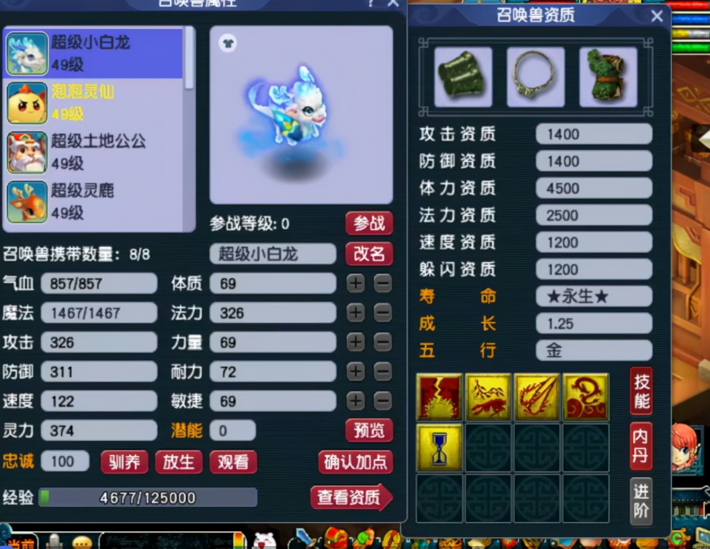 梦幻西游：40级隐形土豪，携带8只超级神兽，背包塞满了无级别