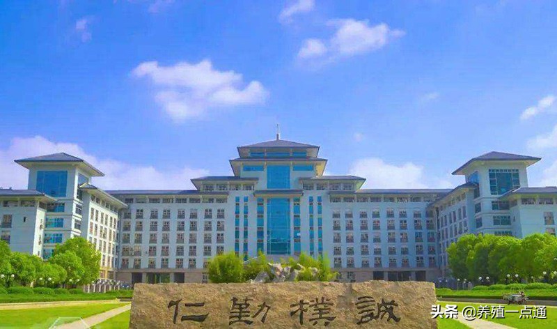 中国农业大学动物科技学院孙少琛