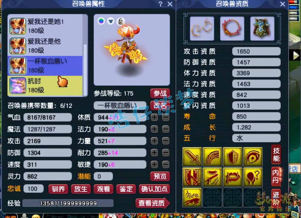 梦幻西游：15+9超强175咒师普陀，为了超龟速，宠等级都不升满