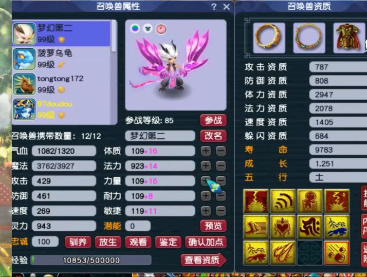 梦幻西游：89级个性宠收藏达人，全身携带个性宠，有你没见过的