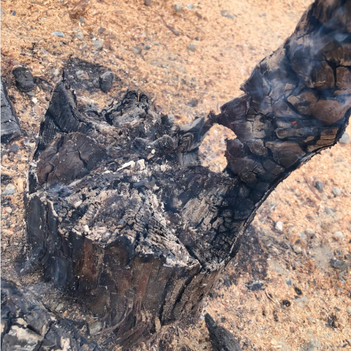 瑞典火炬究竟如何操作?在户外时,要注意的事项,提升露营的趣味