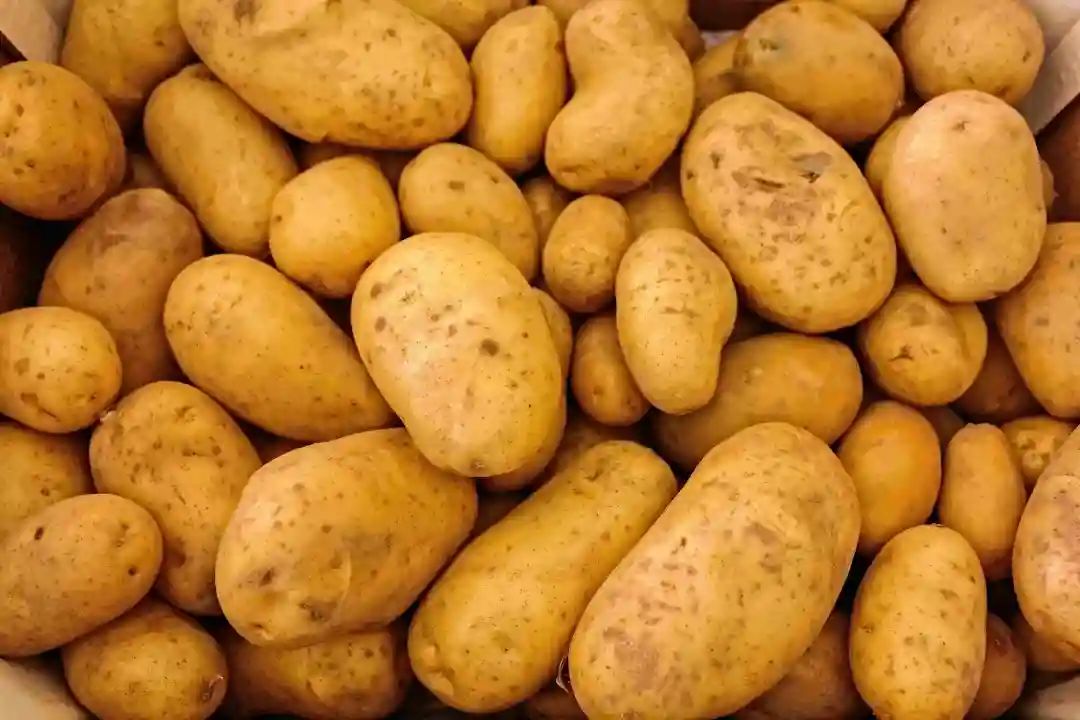 低热量食品有哪些（5种低热量食物最适合减肥）