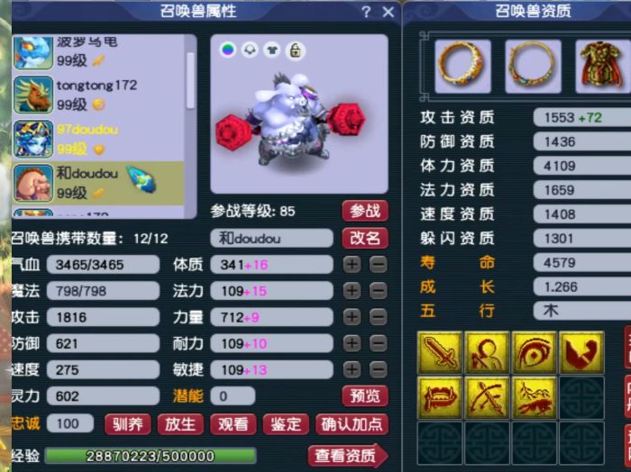 梦幻西游：89级个性宠收藏达人，全身携带个性宠，有你没见过的