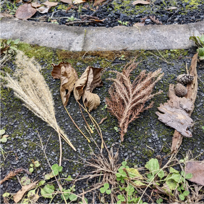 5种生火技巧,“零元购”助燃剂!丛林手工艺,体验露营高级玩法