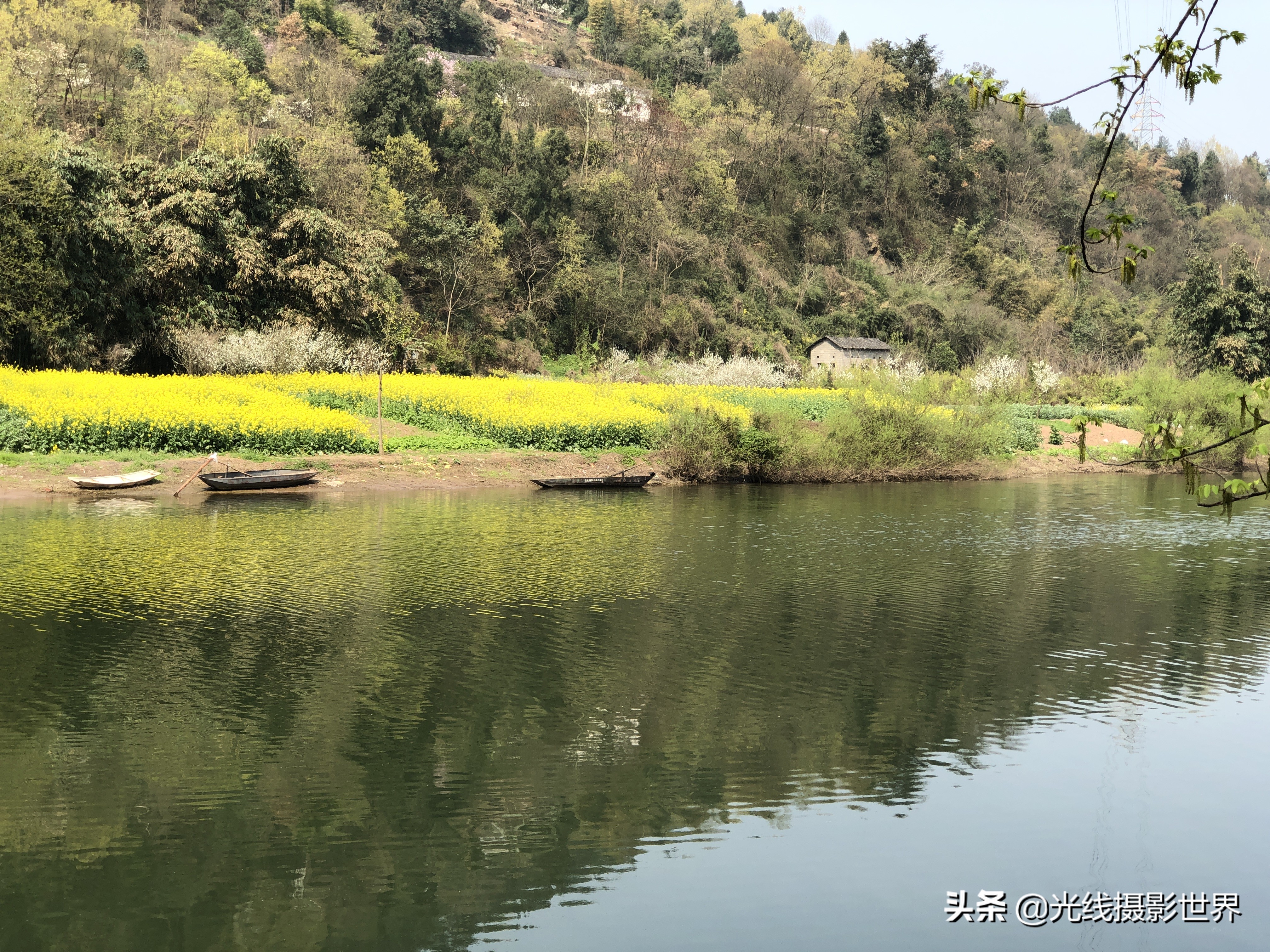 无小彩蛋:除了以上介绍的重庆十大油菜花花海,主城大渡口金鳌山上也有