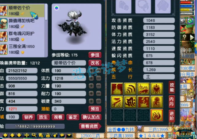 梦幻西游：175极品五庄，多套特技装备加身，单挑群殴全能选手
