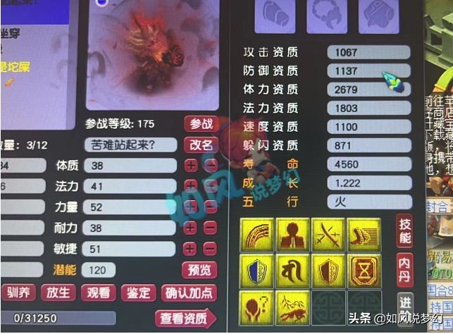 梦幻西游：雪无给9红净台宝宝打错兽决，当场赔了2万元