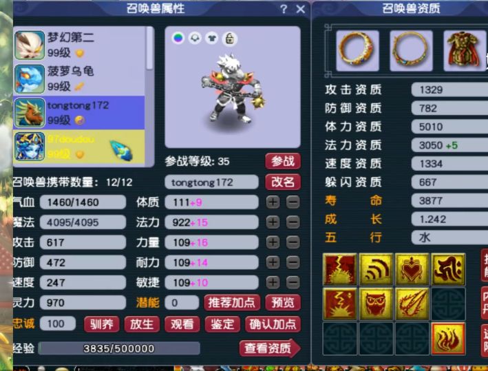 梦幻西游：89级个性宠收藏达人，全身携带个性宠，有你没见过的